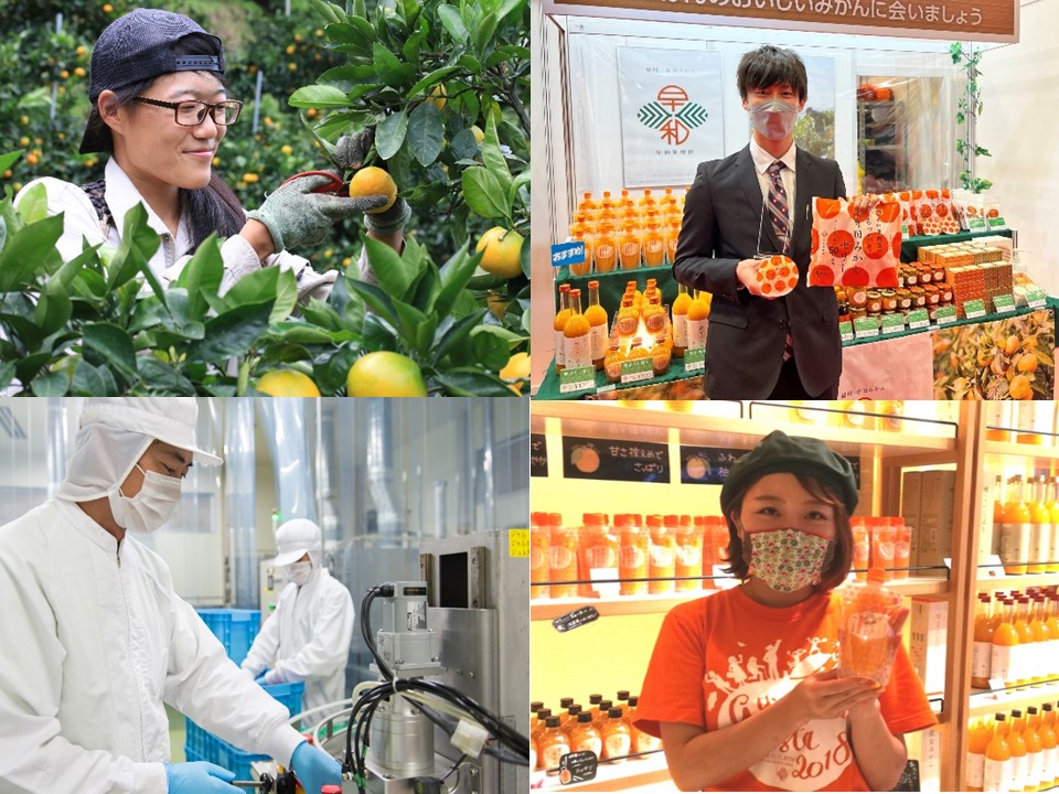 【一日仕事体験】有田みかんの6次産業って？早和果樹園のこだわりと仕事内容を知ろう！